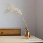 Double Glass Hydroponic Plant Vase