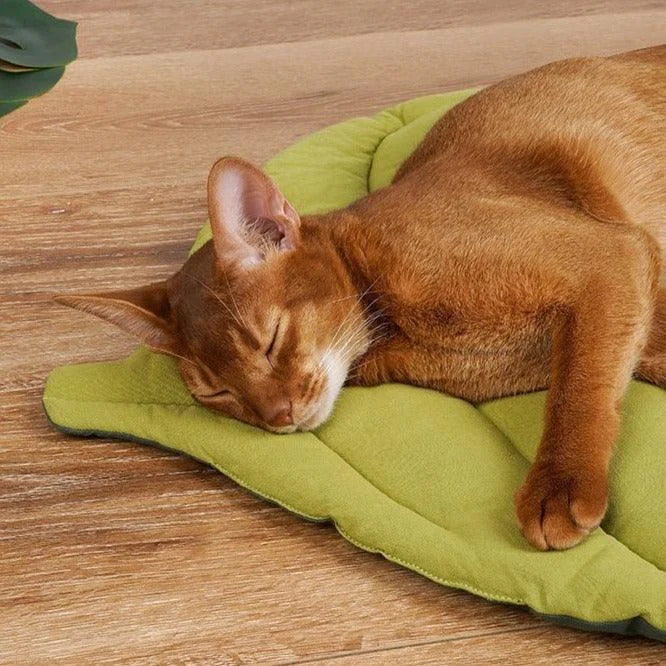 Double Sided Leaf Pet Cushion Bed -  - #tag1#