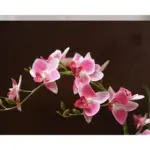 Dove_Ceramic_Vase_with_Orchid_-_-4180214 Dove Ceramic Vase with Orchid