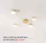 Drexel Irregular Spoke Round Ceiling Light tag1