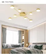 Drexel Irregular Spoke Round Ceiling Light tag1