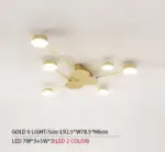 Drexel Irregular Spoke Round Ceiling Light tag1