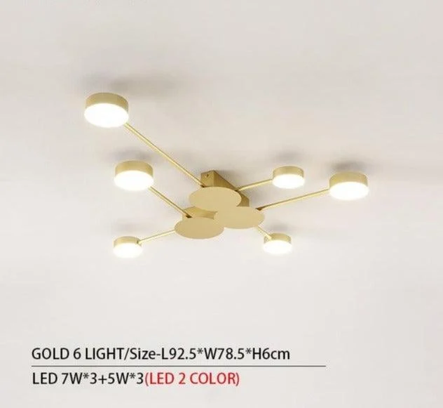 Drexel - Irregular Spoke Round Ceiling Light -  - #tag1#
