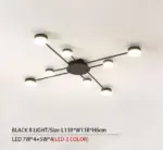 Drexel Irregular Spoke Round Ceiling Light tag1