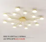 Drexel Irregular Spoke Round Ceiling Light tag1