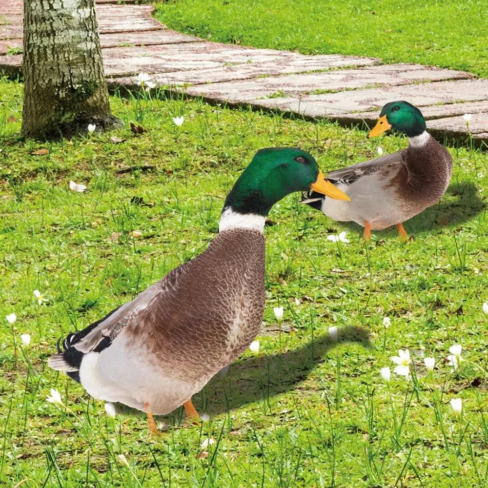 Duck sculpture | Lifelike duck for the garden -  - #tag1#