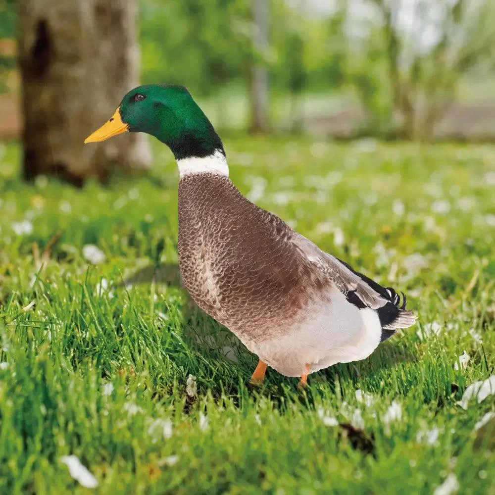 Duck sculpture | Lifelike duck for the garden -  - #tag1#