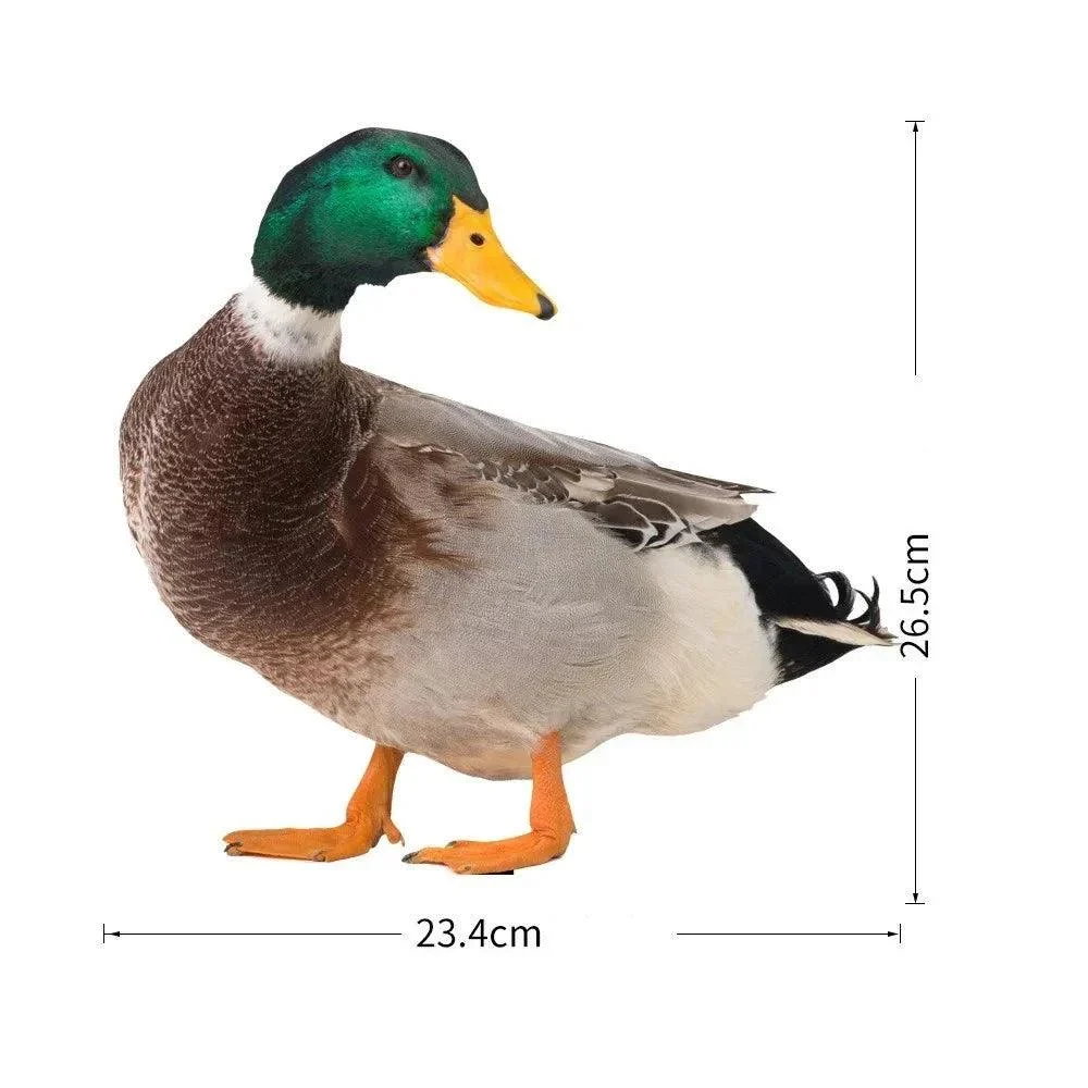 Duck sculpture | Lifelike duck for the garden -  - #tag1#