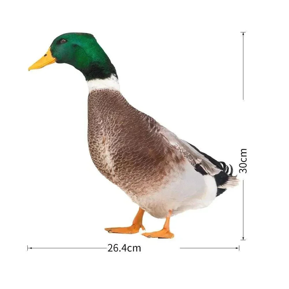 Duck sculpture | Lifelike duck for the garden -  - #tag1#