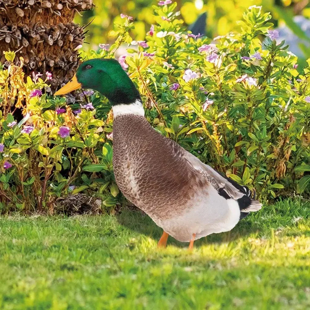 Duck sculpture | Lifelike duck for the garden -  - #tag1#