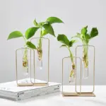 Duo Floating Vase tag1