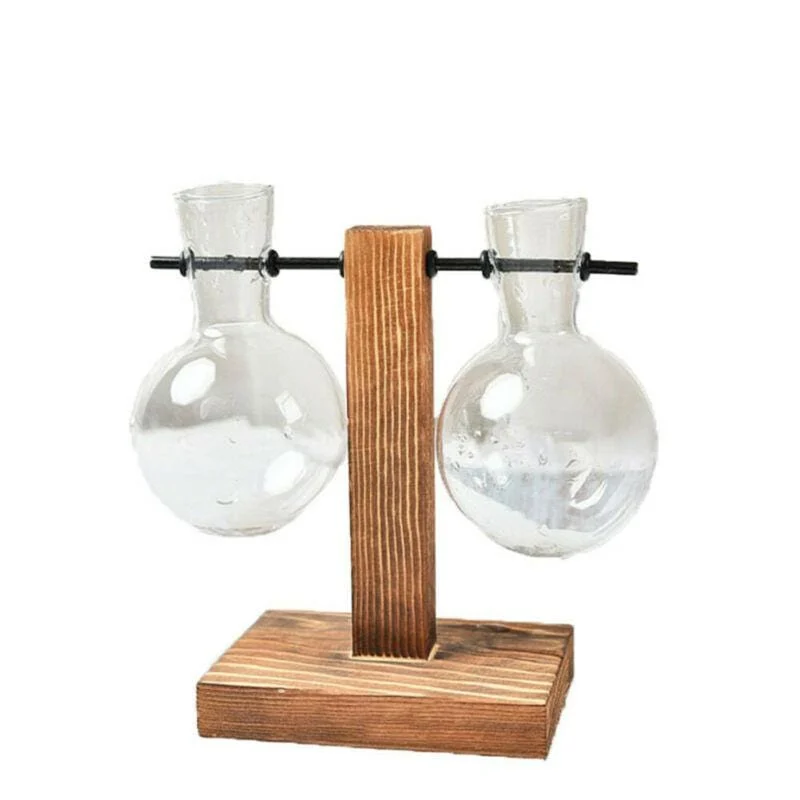 Duo Terrarium -  - #tag1#
