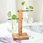 Duo Terrarium tag1