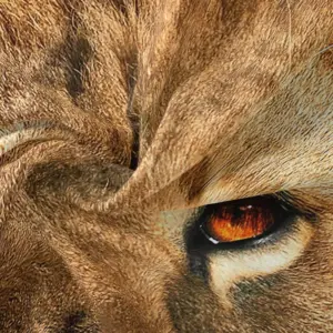 Duvet cover - SafariTrip - Lion print - Bedding Set