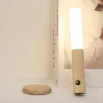 EcoTorch WallLight Magnetic Motion Sensor Wall Light tag1