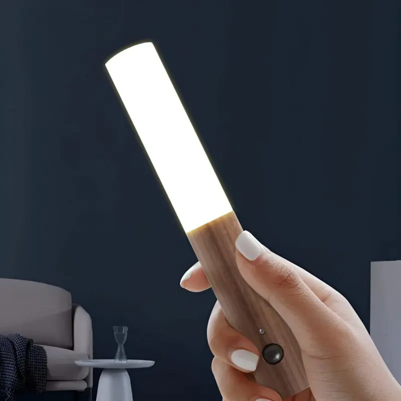 EcoTorch WallLight Magnetic Motion Sensor Wall Light tag1