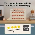 Eggy_-_Large_Capacity_Egg_Rack_-_-_tag1_-4209536 Eggy Large Capacity Egg Rack tag1