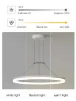 ElegantGlimmer long Modern Pendant Lamp tag1