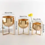Elegant Golden Metal Flower Stand for Creative Home Decor and Organization tag1