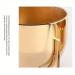 Elegant Golden Metal Flower Stand for Creative Home Decor and Organization tag1
