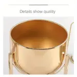 Elegant Golden Metal Flower Stand for Creative Home Decor and Organization tag1