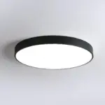 Elegant LED Ceiling Lamp Ultra thin Round Lighting Nordic Style for Bedroom tag1