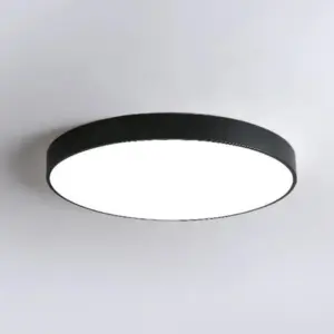 Elegant LED Ceiling Lamp - Ultra-thin Round Lighting Nordic Style for Bedroom