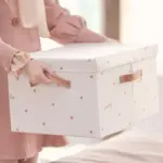 Elegant_Spacious_Storage_Box_with_Lid_-_-_tag1_-4199774 Elegant Spacious Storage Box with Lid tag1