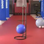 Elegant Sports Ball Storage Rack Removable Garage Organizer tag1