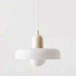 Elegant Vintage Glass Pendant Lamp tag1