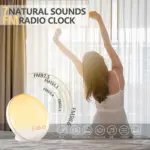 Elliptical_Sunrise_Alarm_Clock_-_-_tag1_-4214485 Elliptical Sunrise Alarm Clock tag1