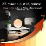 Elliptical_Sunrise_Alarm_Clock_-_-_tag1_-4214494 Elliptical Sunrise Alarm Clock tag1
