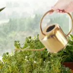 Elliptical Watering Can tag1
