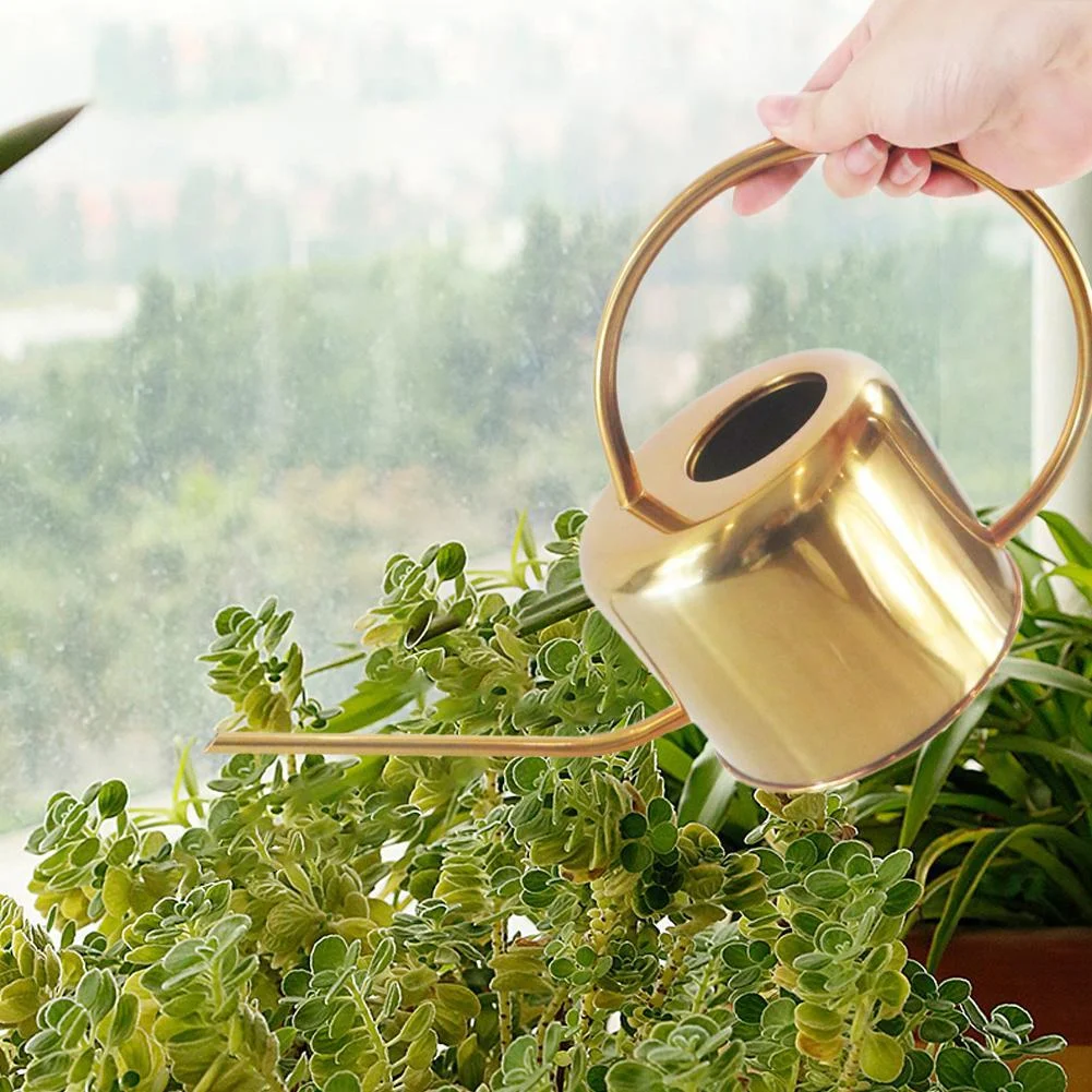 Elliptical Watering Can -  - #tag1#