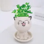 Emoji Kitten Planters