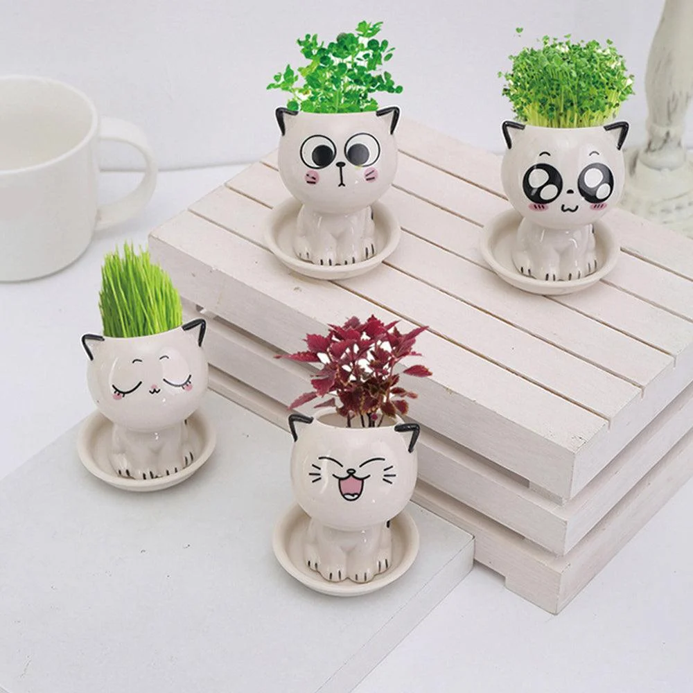 Emoji Kitten Planters -