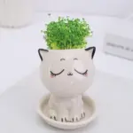 Emoji Kitten Planters