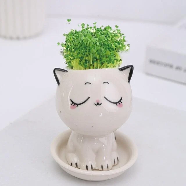 Emoji Kitten Planters -