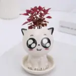 Emoji Kitten Planters