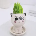 Emoji Kitten Planters