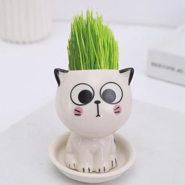 Emoji Kitten Planters -