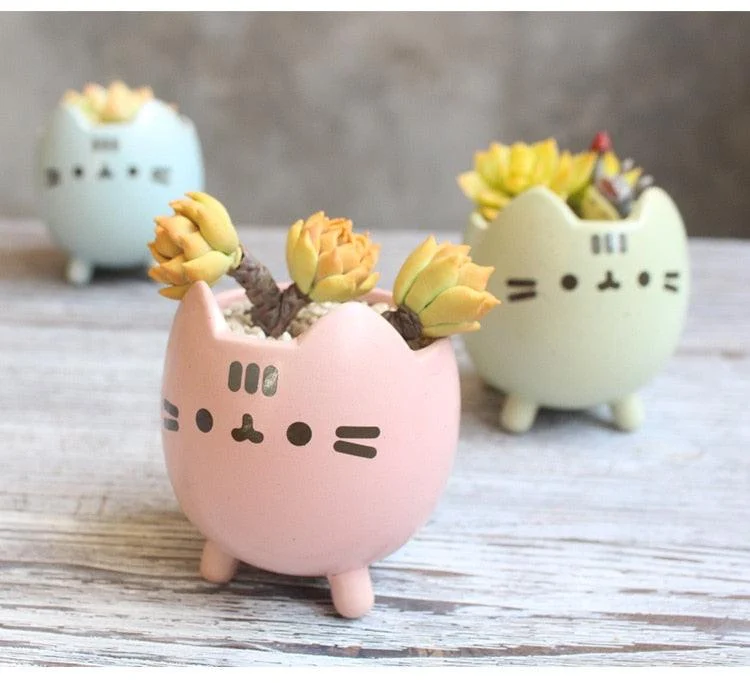 Emoji Kitty Planters -