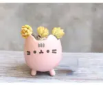 Emoji Kitty Planters