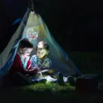 Enchanting Solar Garden Lamp Butterflies tag1