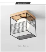 Escher Vintage Cage Ceiling Lights tag1