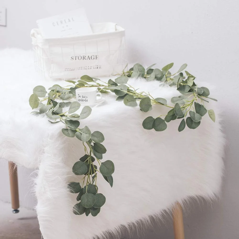Eucalyptus -  - #tag1#