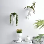Evadnesa Vases