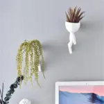 Evadnesa Vases