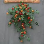 EverGreen Artificial green ivy leaves