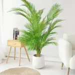 EverTropic Plastic Monstera Plant